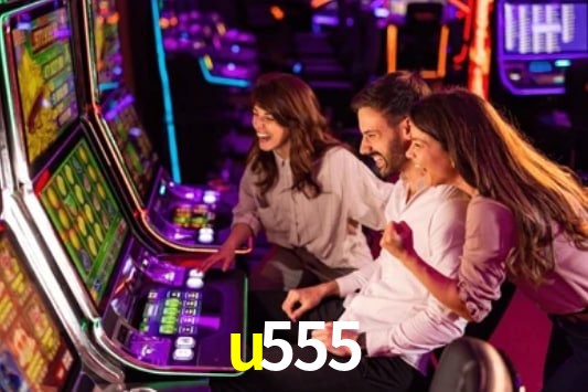 Interface Premium u555
